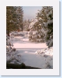 Room with a view - Bend, Oregon (2)